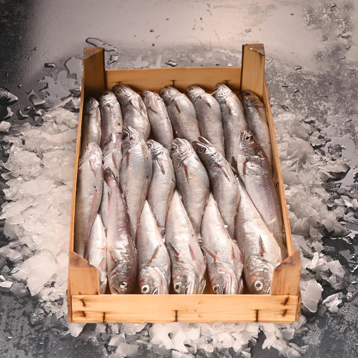Mırlan Kasa Taze 3 Kg